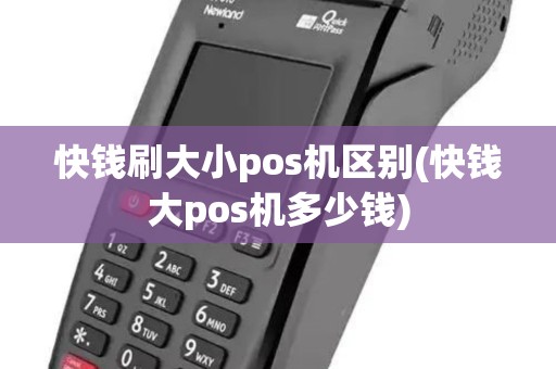 快钱刷大小pos机区别(快钱大pos机多少钱)