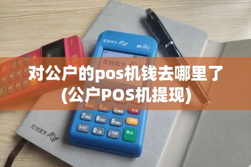 对公户的pos机钱去哪里了(公户POS机提现)
