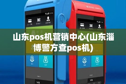 山东pos机营销中心(山东淄博警方查pos机)