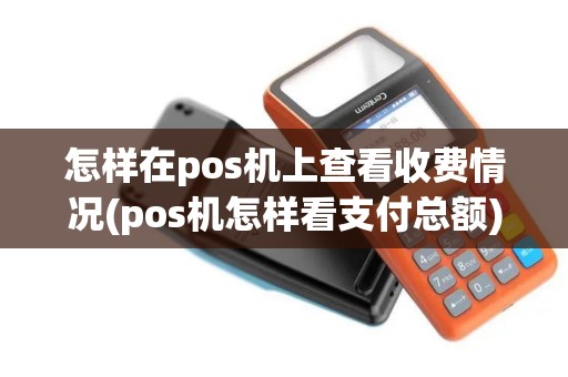 怎样在pos机上查看收费情况(pos机怎样看支付总额)