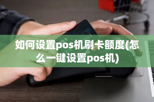 如何设置pos机刷卡额度(怎么一键设置pos机)