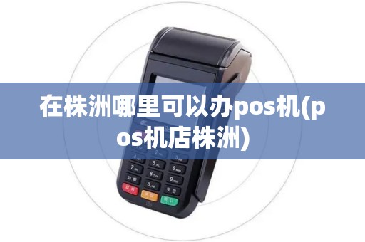 在株洲哪里可以办pos机(pos机店株洲)