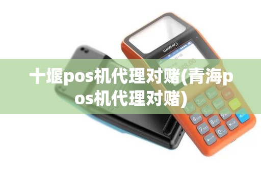 十堰pos机代理对赌(青海pos机代理对赌)