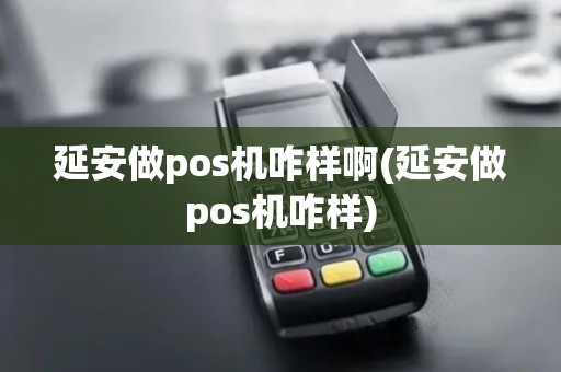 延安做pos机咋样啊(延安做pos机咋样)