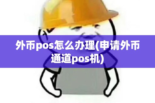 外币pos怎么办理(申请外币通道pos机)