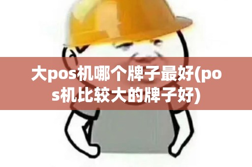 大pos机哪个牌子最好(pos机比较大的牌子好)