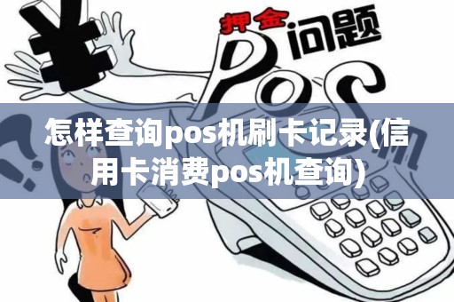 怎样查询pos机刷卡记录(信用卡消费pos机查询)