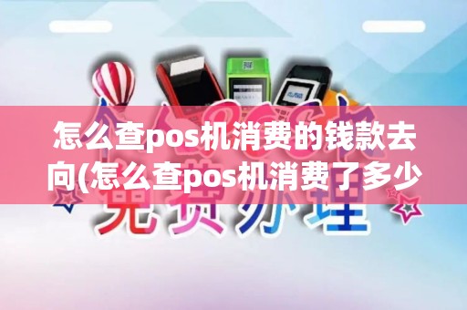 怎么查pos机消费的钱款去向(怎么查pos机消费了多少)