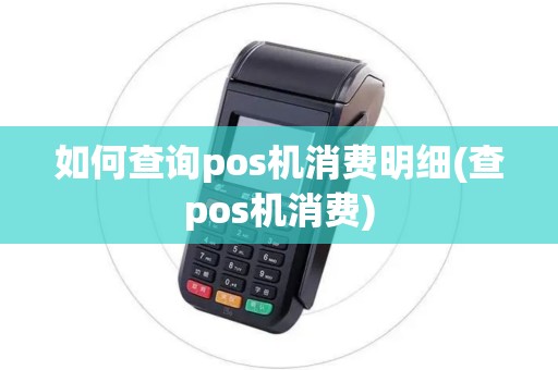如何查询pos机消费明细(查pos机消费)