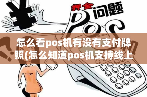 怎么看pos机有没有支付牌照(怎么知道pos机支持线上消费)