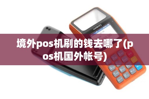 境外pos机刷的钱去哪了(pos机国外帐号)
