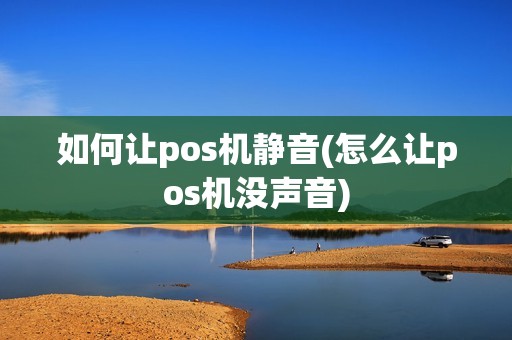 如何让pos机静音(怎么让pos机没声音)