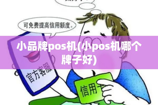 小品牌pos机(小pos机哪个牌子好)