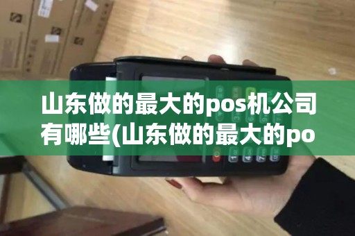 山东做的最大的pos机公司有哪些(山东做的最大的pos机公司)