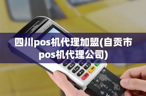 四川pos机代理加盟(自贡市pos机代理公司)