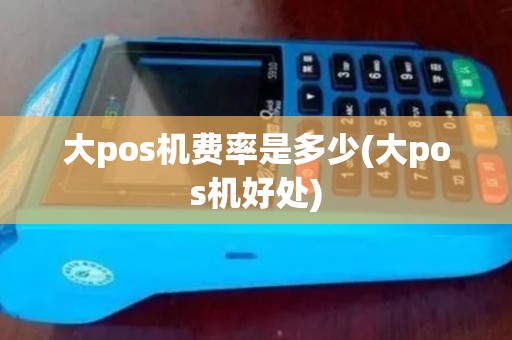 大pos机费率是多少(大pos机好处)