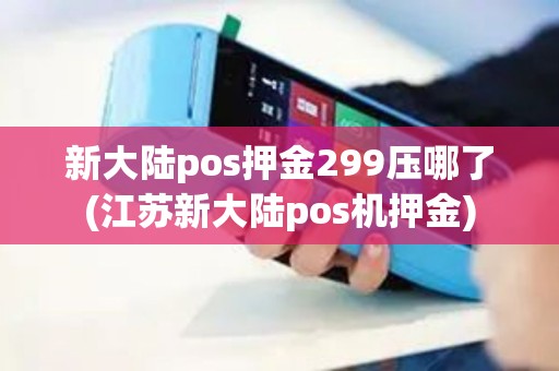 新大陆pos押金299压哪了(江苏新大陆pos机押金)