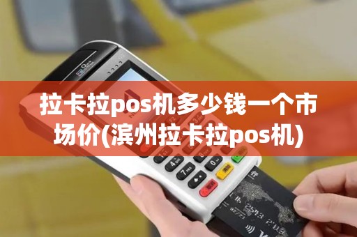 拉卡拉pos机多少钱一个市场价(滨州拉卡拉pos机)