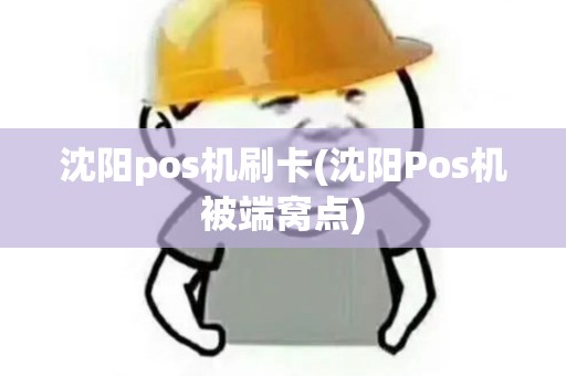 沈阳pos机刷卡(沈阳Pos机被端窝点)