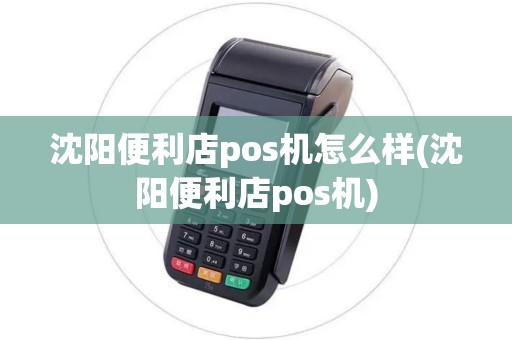 沈阳便利店pos机怎么样(沈阳便利店pos机)