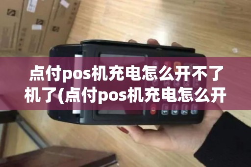 点付pos机充电怎么开不了机了(点付pos机充电怎么开不了机)