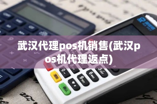 武汉代理pos机销售(武汉pos机代理返点)