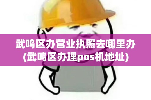 武鸣区办营业执照去哪里办(武鸣区办理pos机地址) 武鸣区办营业执照去哪里办(武鸣区办理pos机地址)