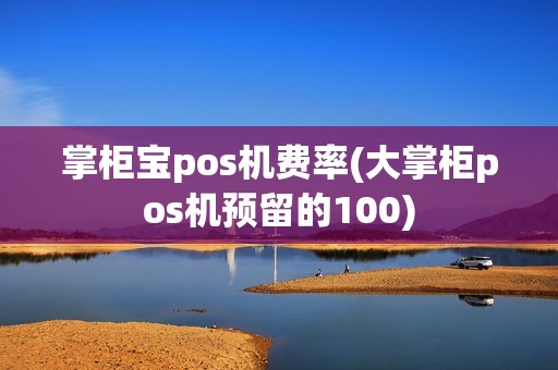 掌柜宝pos机费率(大掌柜pos机预留的100)