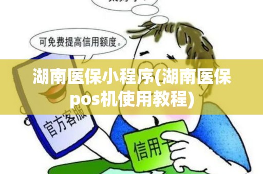 湖南医保小程序(湖南医保pos机使用教程)