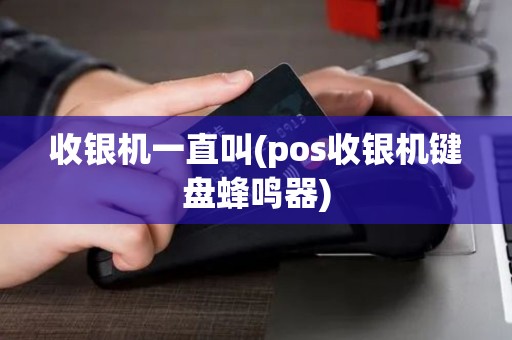 收银机一直叫(pos收银机键盘蜂鸣器)