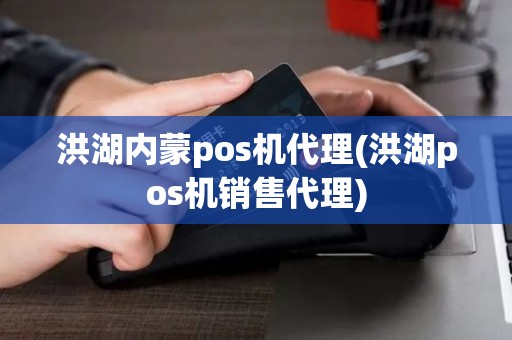 洪湖内蒙pos机代理(洪湖pos机销售代理)