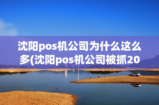 沈阳pos机公司为什么这么多(沈阳pos机公司被抓2022)