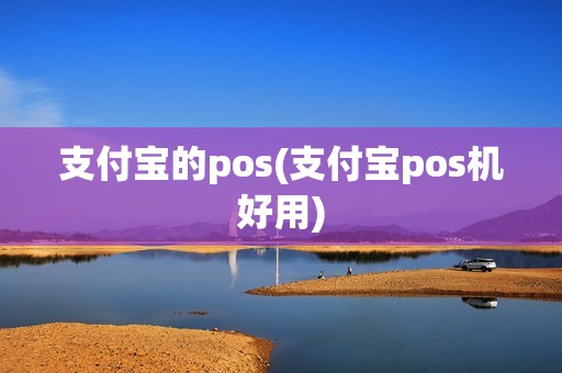 支付宝的pos(支付宝pos机好用)