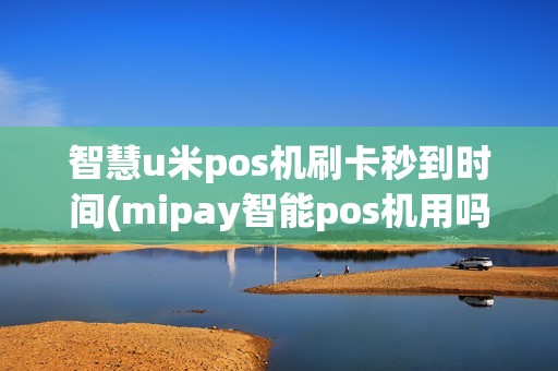 智慧u米pos机刷卡秒到时间(mipay智能pos机用吗)