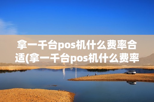 拿一千台pos机什么费率合适(拿一千台pos机什么费率)