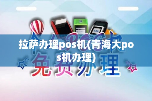 拉萨办理pos机(青海大pos机办理)