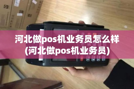 河北做pos机业务员怎么样(河北做pos机业务员)