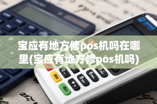 宝应有地方修pos机吗在哪里(宝应有地方修pos机吗)