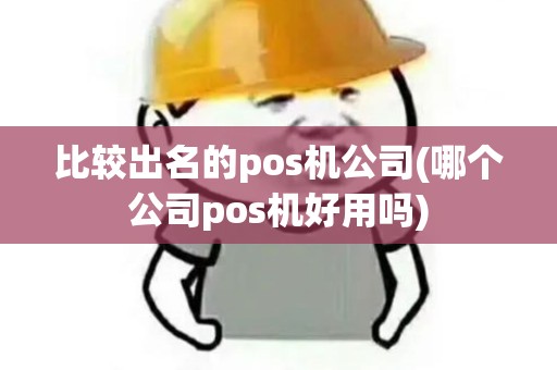 比较出名的pos机公司(哪个公司pos机好用吗)