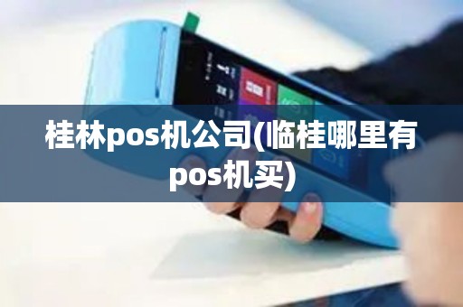 桂林pos机公司(临桂哪里有pos机买)