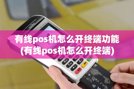 有线pos机怎么开终端功能(有线pos机怎么开终端)