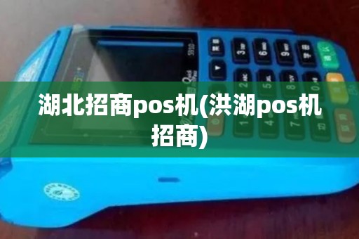 湖北招商pos机(洪湖pos机招商)