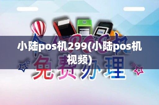 小陆pos机299(小陆pos机视频)