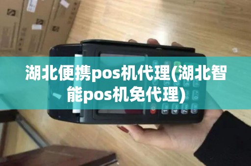 湖北便携pos机代理(湖北智能pos机免代理)