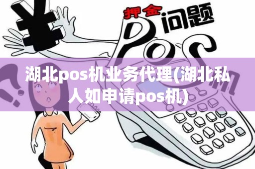 湖北pos机业务代理(湖北私人如申请pos机)