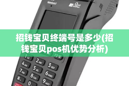招钱宝贝终端号是多少(招钱宝贝pos机优势分析)