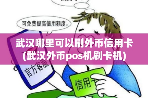 武汉哪里可以刷外币信用卡(武汉外币pos机刷卡机)