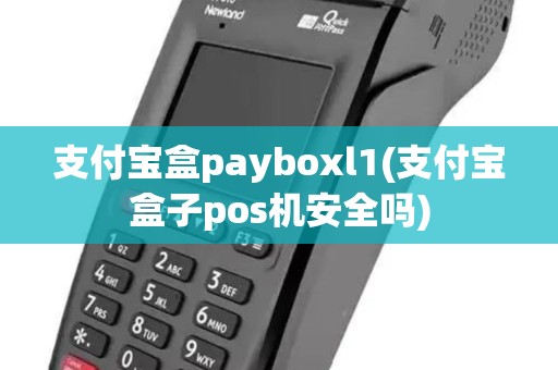 支付宝盒payboxl1(支付宝盒子pos机安全吗)