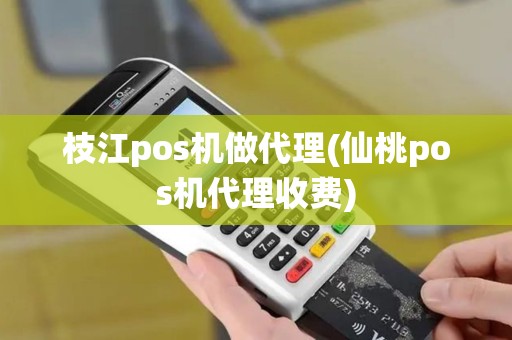 枝江pos机做代理(仙桃pos机代理收费)