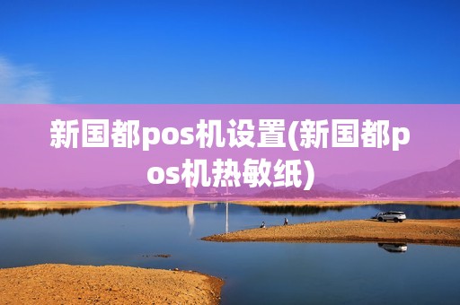 新国都pos机设置(新国都pos机热敏纸)